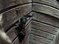 02 Chimney Swifts Double Stick