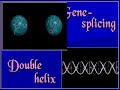 Recombinant DNA