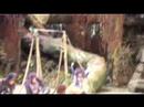 Tarzan The Encounters