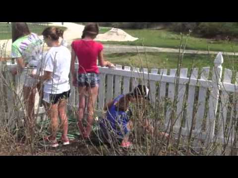 Wellness House - Paint The Fence