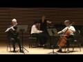 Weber Trio in G Minor mvt 3