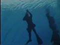 RMN NAVY PASKAL underwater Action