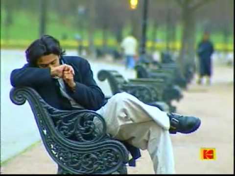 Shehzad Roy song