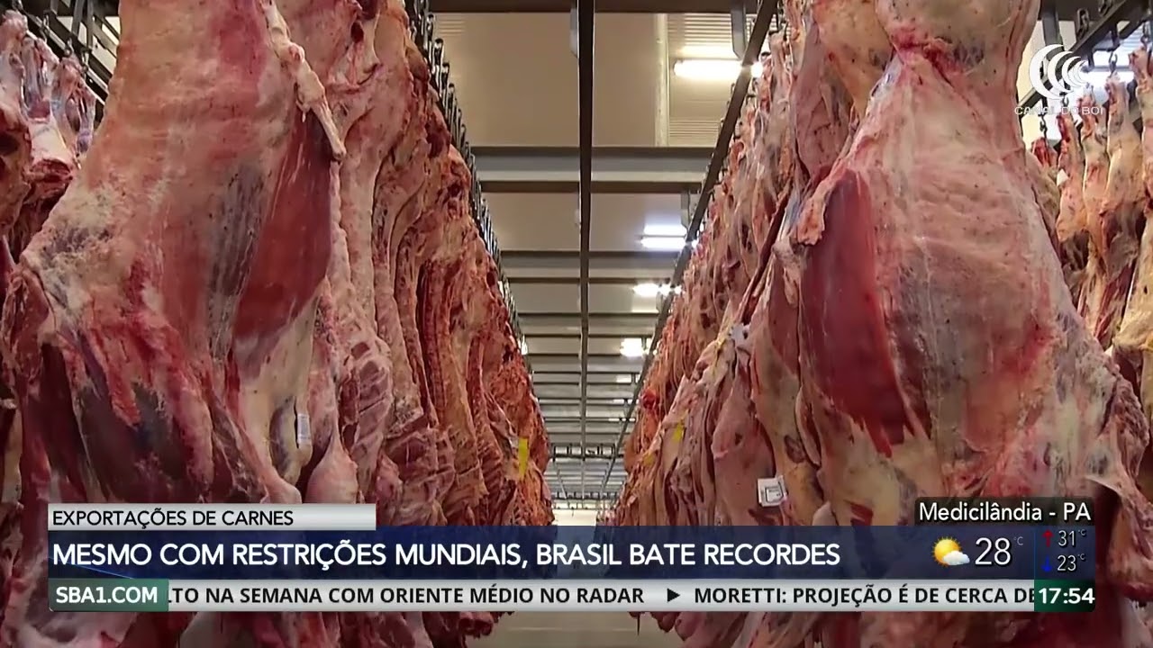 Mesmo com barreiras comerciais, exportações brasileiras de carne batem recordes