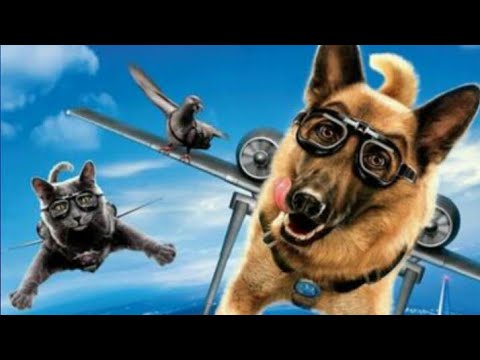 Como perros y gatos 2: La venganza de Kitty Galore