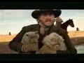 EDS Cat Herder