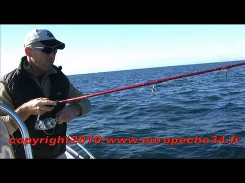 Jig - Europeche34 peche au jig en mer les loups, bars, maquereaux, calamars en bateau.