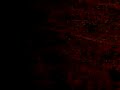Thumbnail #1