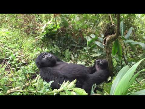 Alpha Adventure Safaris