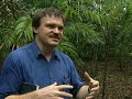 Who Killed The Maya? The History Channel 4/5