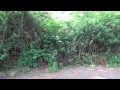 Click here to watch this video Get Active Fortnight - Nordic Walking