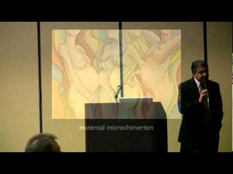 Stem Cell Therapy Natural Medicine Coming of Age 0 Stem Cell Therapy Natural Medicine Coming of Age