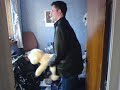 Daz the dog