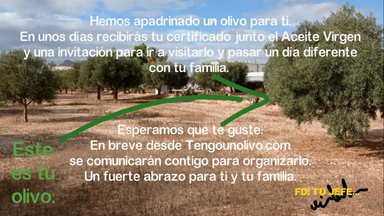 Video mensanje demostración para empresas