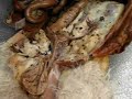 Uterine horns before pregnancy