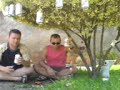 Árvore Cerveja Árvore Cerveja