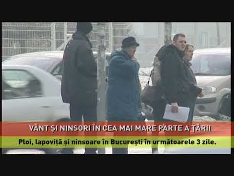 Cod galben de ninsori, chiar viscol la altitudini mari