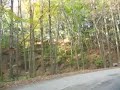 My Morning Drive