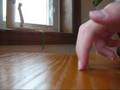 videos de Its magic