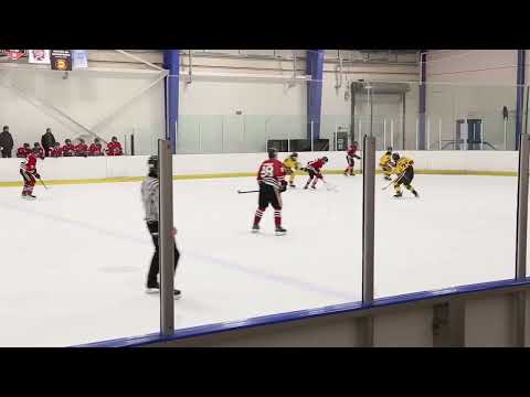 Gavin Sheehan #77 2021-2022 highlights