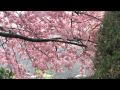 ���ź��ȤĤ뤷����������.mpg:YouTube������=11��