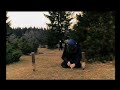 DAS JAHR NACH DAYTON TRAILER