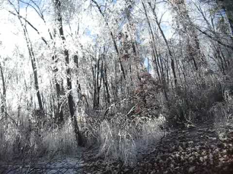 My Backyard
