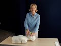 Prestan Professional Manikin