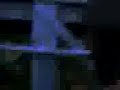 look close @ hiz head