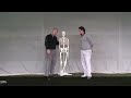 Golf Pro Lesson French Golf Machine