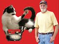 Top Cat\