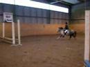 mitzie hästen vi saknar mitzie hästen vi saknar