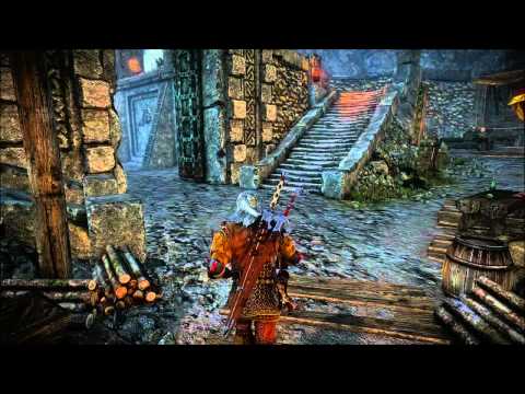 The Witcher 2 : Assassins of Kings