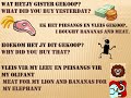 Click here to watch this video Afrikaans 7 : Where is my lion hiding?