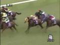 videos de 2008 スプリンターズＳ  SPRINTERS STAKES