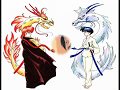 ranma-tsubasa chronicle