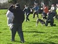 Drag Hunting, Hound Trailing Part 2, seniors