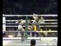 muay thai_mpeg4_001.mp4