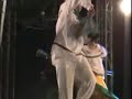 Compa��a Folklorica Xochipilli Guerrero-Las Amarillas