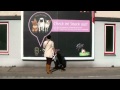 FourSquare GrantaPetcheck