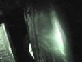 TwistedDementia 2006 Squirting OutHouse Highlights