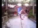 joga bonito 2008 bobo vlora 02