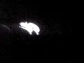 Drift nagoya 2 swin