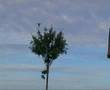 ----www.ARCOSUNIONSILVESTRISTA.tk---- captura liga