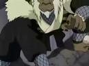 a nivel hokage