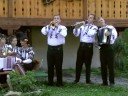 FRATII REUT - O vazut mirele o floare