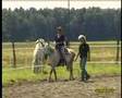 RAI-Reiten Neuhof bei Berlin
