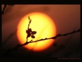 Two Hit punjabi sad songs...