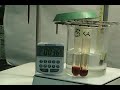 Laboratoire effectué au cégep de Sherbrooke par le département de chimie.