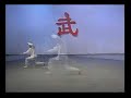 Tai Ji Mei Hua Tang Lang Tai Ji Mei Hua Tang Lang